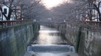 DSC01467.JPG